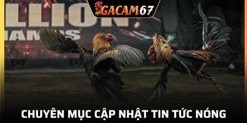 Chuyên mục liên tục cập nhật tin tức nóng nhất