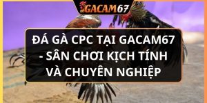 đá gà CPC