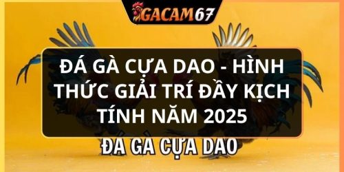 đá gà cựa dao