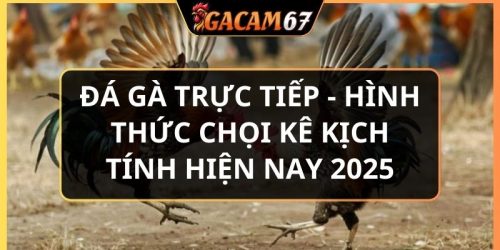 đá gà trực tiếp