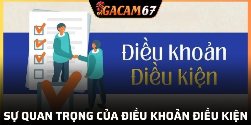 Điều khoản điều kiện có tầm quan trọng như thế nào?