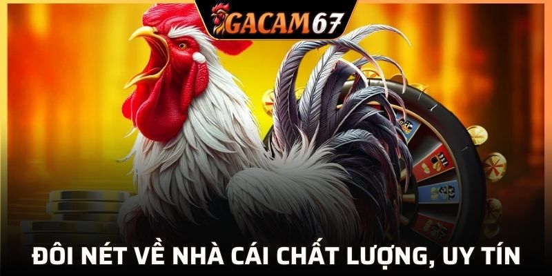 Đôi nét về nhà cái chất lượng, uy tín