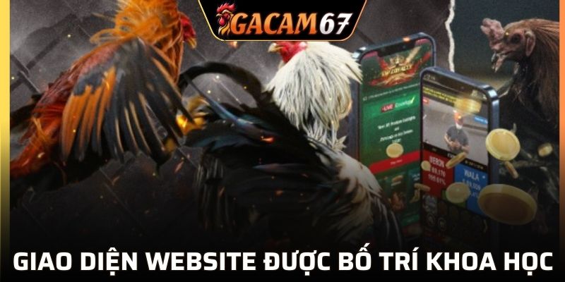 Giao diện website được bố trí khoa học