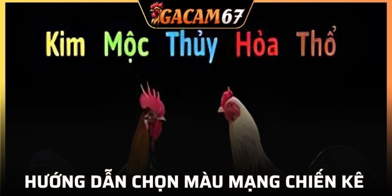 Hướng dẫn cách chọn phong thủy cho người nuôi