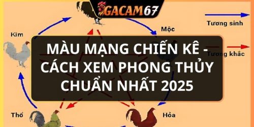 màu mạng chiến kê